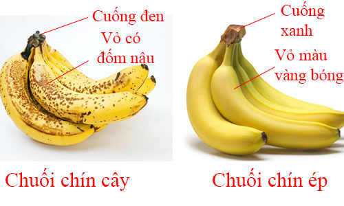 7-loai-qua-ban-day-cho-co-the-bi-ngam-u-hoa-chat-01