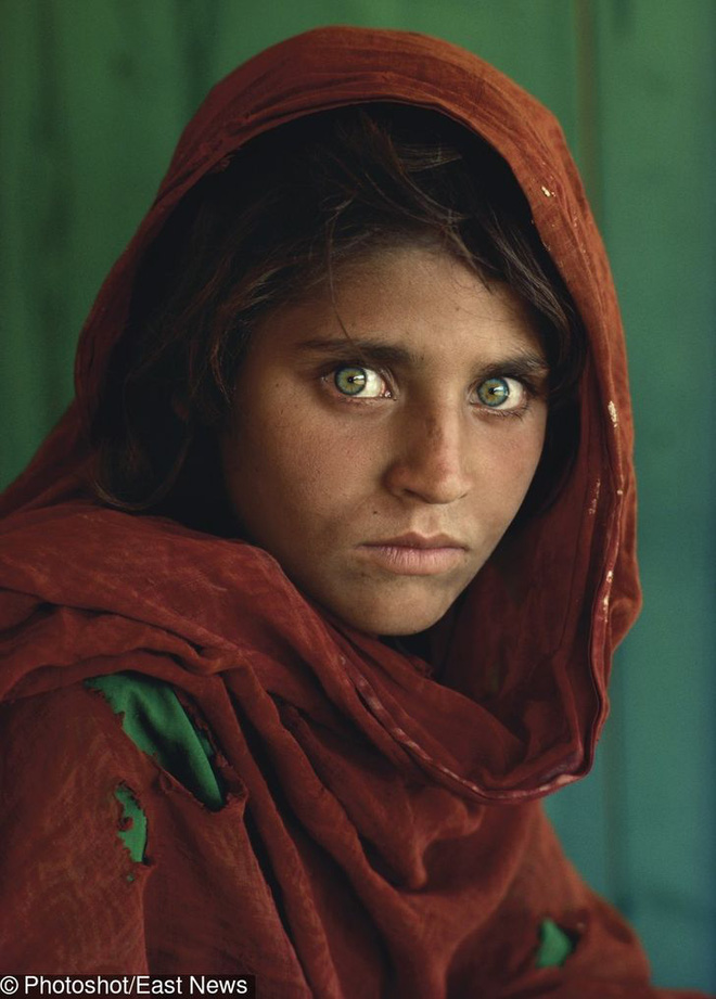 cogai