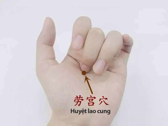 huyetlaocung