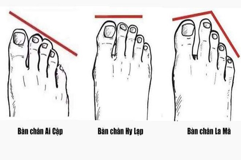 ngon-chan-nao-dai-nhat-cho-biet-van-menh-tuong-lai-cua-ban