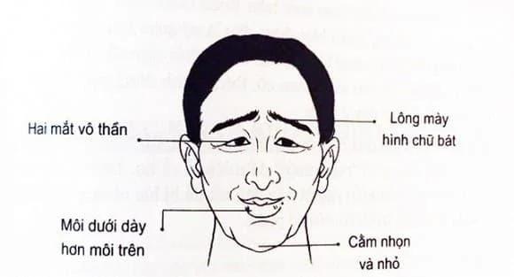 nhan-tuong