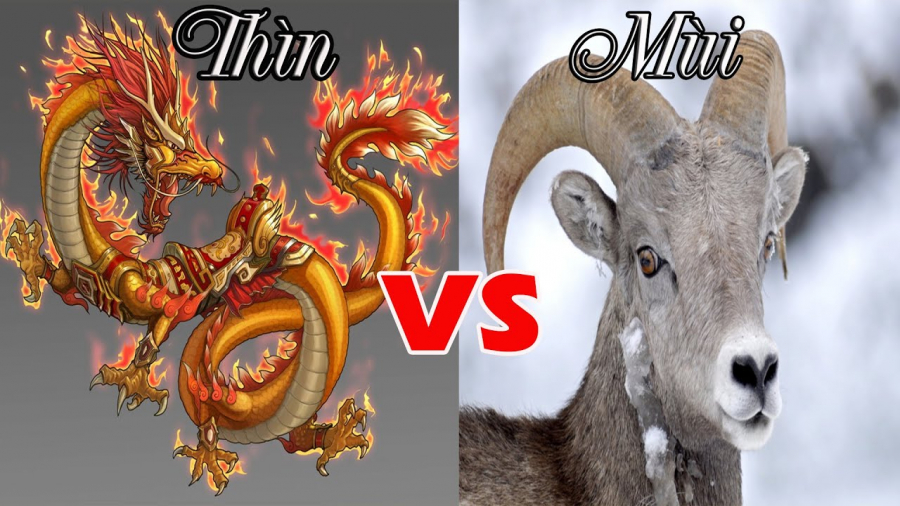 thinmui