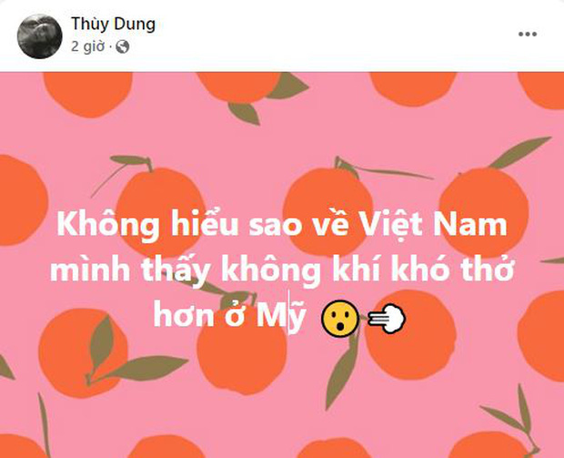 thuydng