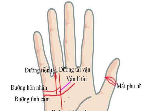 duong-chi-tay-may-man