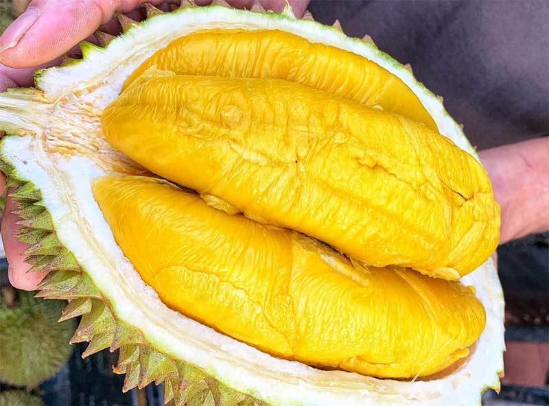 loai-trai-cay-khong-nen-an-vao-buoi-toi-01