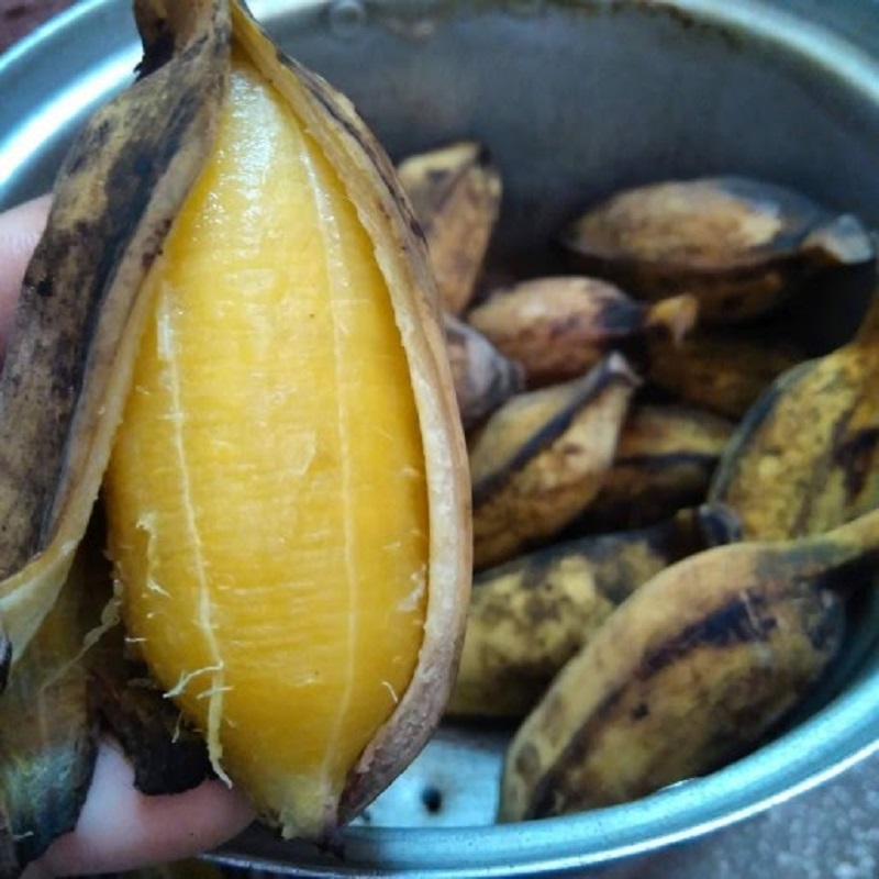 chuoiluoc