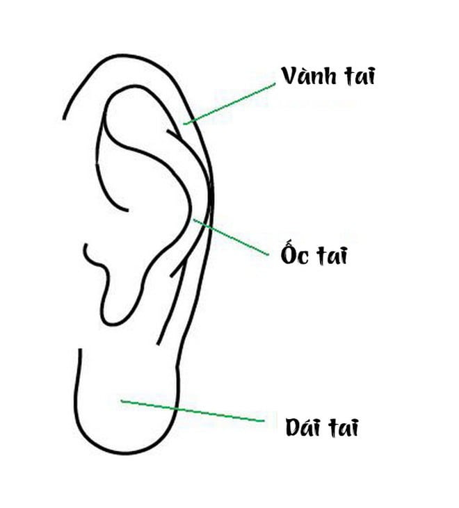 xem-tuong-tai-01