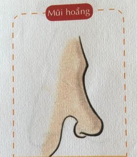 tuong-mui-03