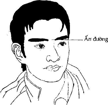 tuong-dan-ong-bao-thu-gia-truong-01