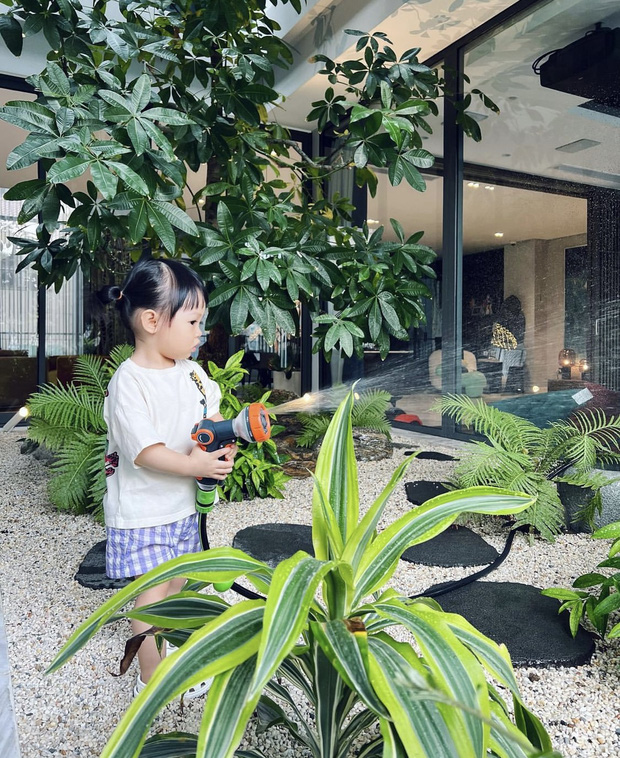 img0787-16466526657821984338205