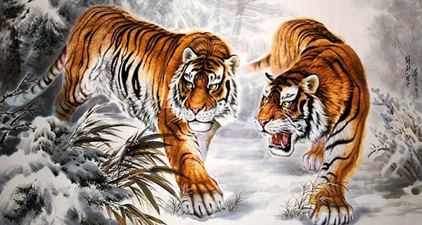 5