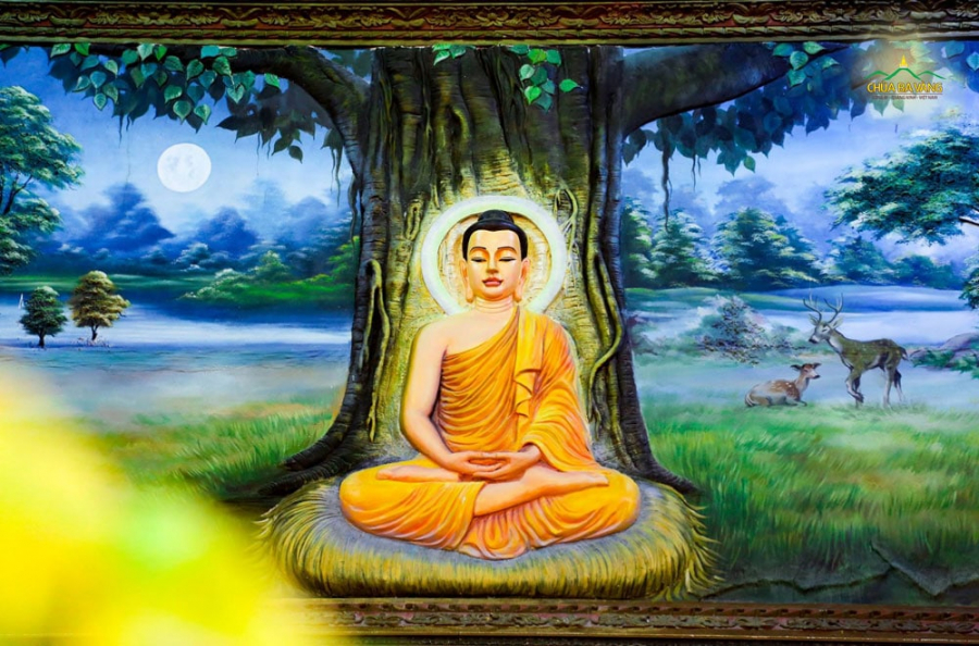 duc-phat-thanh-dao-duoi-coi-cay-bo-de-thay-thich-truc-thai-minh-chua-ba-vang