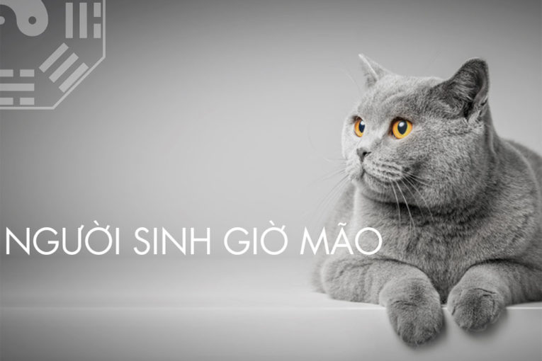 Người sinh giờ Mão luôn được mọi người yêu mến, gặp nhiều may mắn
