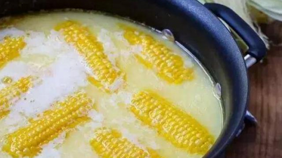 Để món ngô luộc thêm thơm ngon nên cho vào nồi ít bơ, sữa, đường, muối. 