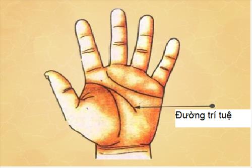 lay chong-som-hay-muon-giau-hay-ngheo-xem-duong-chi-tay-biet-ngay_5