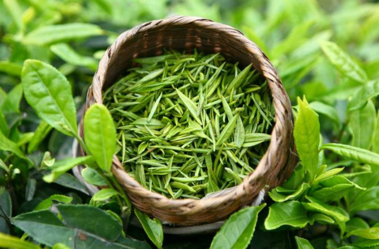 thuc-pham-khu-mui-co-the-04