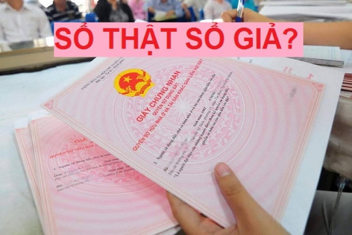 so-that-so-gia