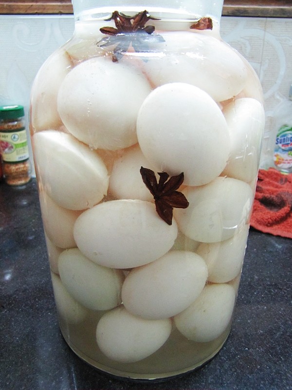 bao-quan-truong-ca-nua-nam-khong-hong_1