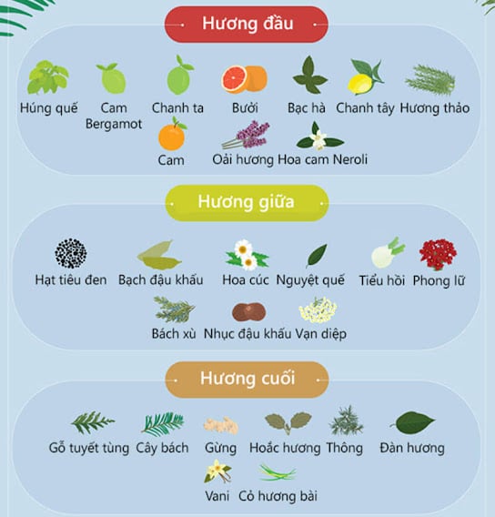 3-tang-huong-nuoc-hoa-1 (1)