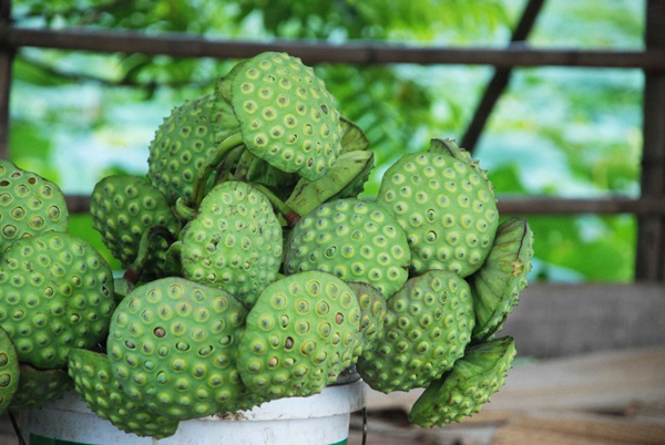 6-tu-khoa-khong-nen-tim-kiem-tren-google-01