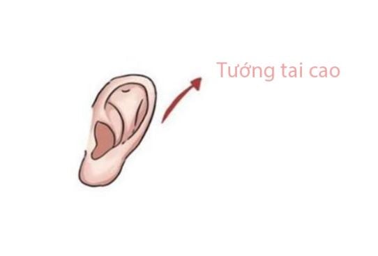 tuong-tai-phu-quy-01