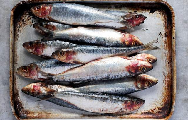 ca-giau-omega-3-02