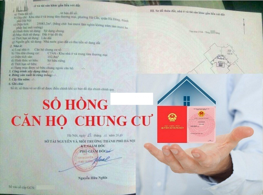 sohong-chung-cu
