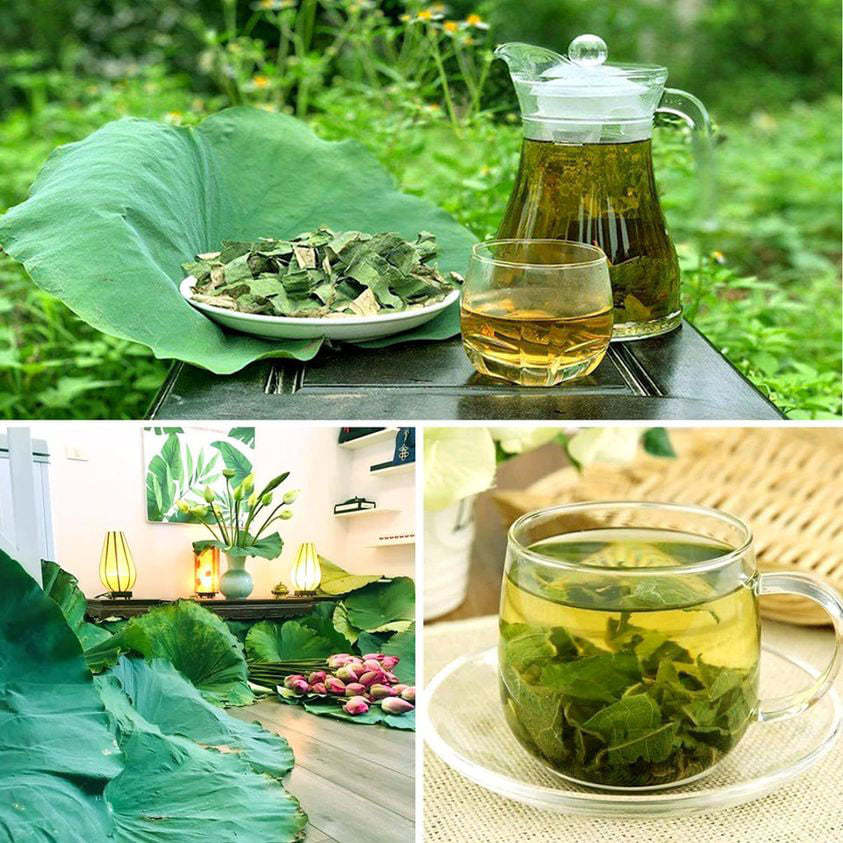 day-la-loai-cay-co-la-la-tien-duoc-troi-cho-nhung-tiec-la-ai-ung-chi-yeu-hoa-thich-hat_7