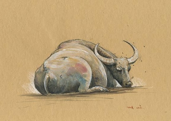 tu-vi-con-giap-0