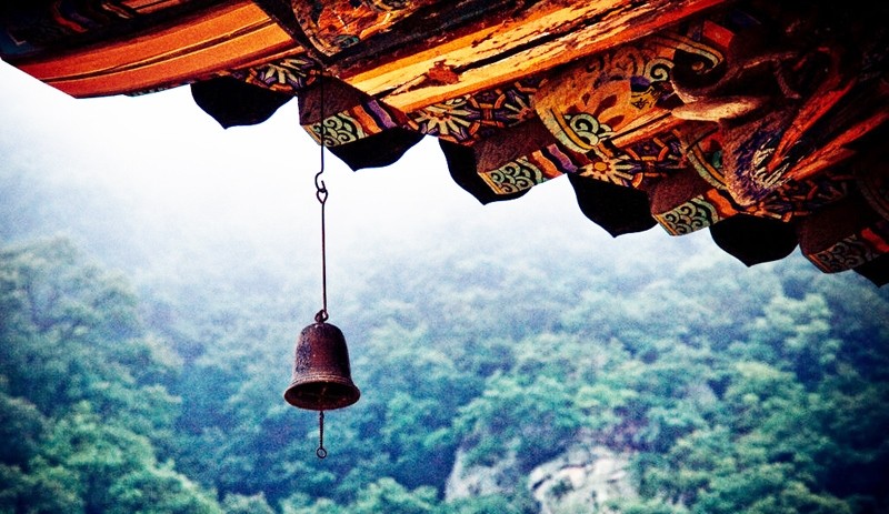 40-tuoi-3-thu-dung-so-sanh-50-tuoi-3-loai-nguoi-dung-tin-tuong-hinh-2