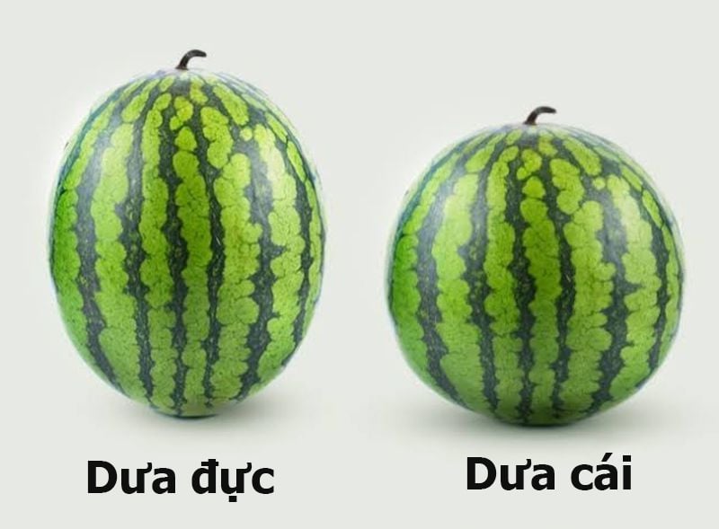 1-16215061372391585086613