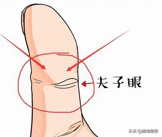 mat-phu-tu