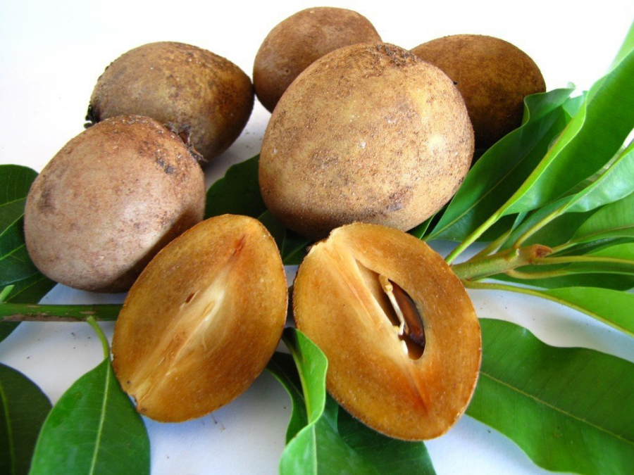 sa-po-che