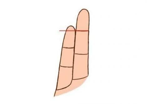 Ngón út dài hơn 2 đốt của ngón tay đeo nhẫn    