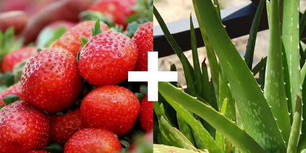 2015-blog-strawberries-aloe-preserve-20160722170509