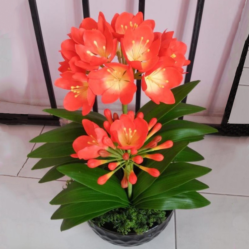 3-loai-hoa-phat-02