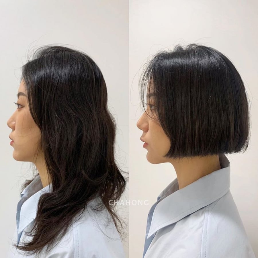 -anh-1-0