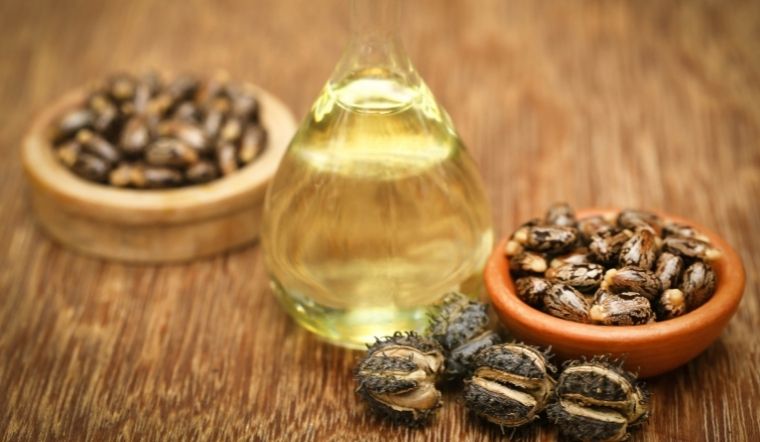 dau-thau-dau-castor-oil-va-ung-dung-trong-linh-vuc-lam-dep-202111252232323479