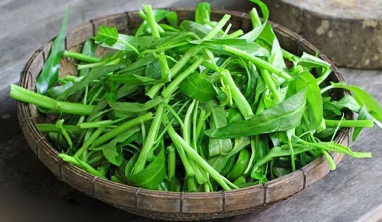 dac-diem-phan-loai-va-cach-dung-cay-rau-muong-chi-tiet-nhat-202108070103202964