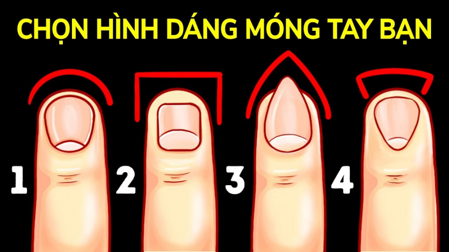 hinh-dang-mong-tay