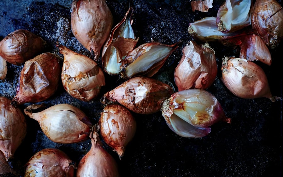 meo-chua-nuoc-ham-xuong-bi-duc-04