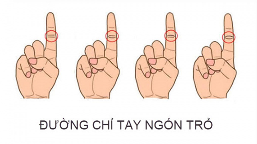 Xem-duong-chi-tay-ngon-tro,-doan-van-menh-sang-hen