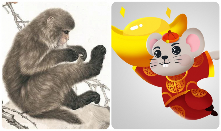 con-giap-nam-quy-mao