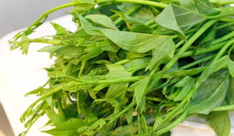 mon-an-truong-tho-cua-nguoi-nhat-bo-ngang-sam-o-viet-nam-re-beo-nhieu-nguoi-khong-biet-ma-an_1