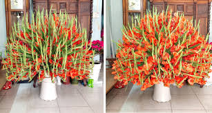 images (20)