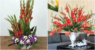 images (21)