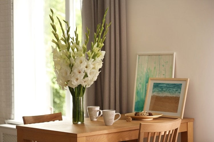 images2432396_4