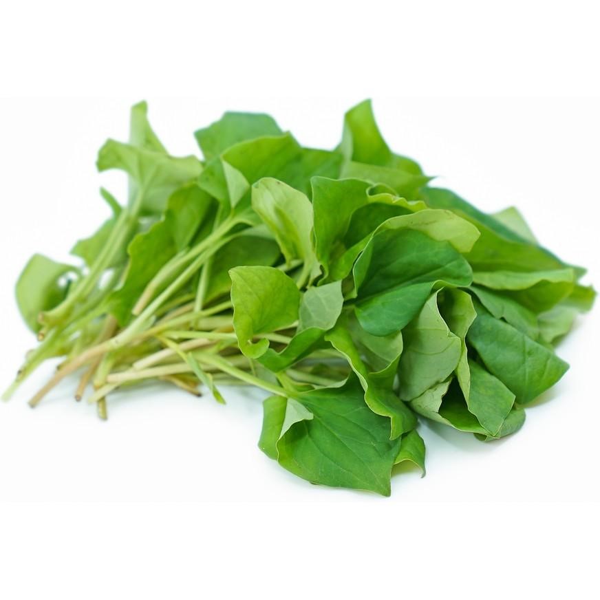 loai-rau-duong-tu-cung-03