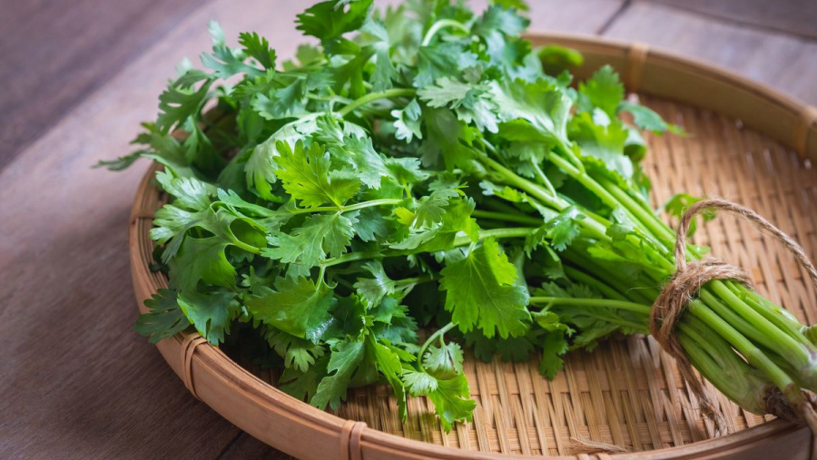loai-rau-duong-tu-cung-056