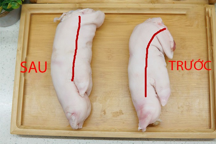 phan-biet-mong-gio-truoc-sau-02